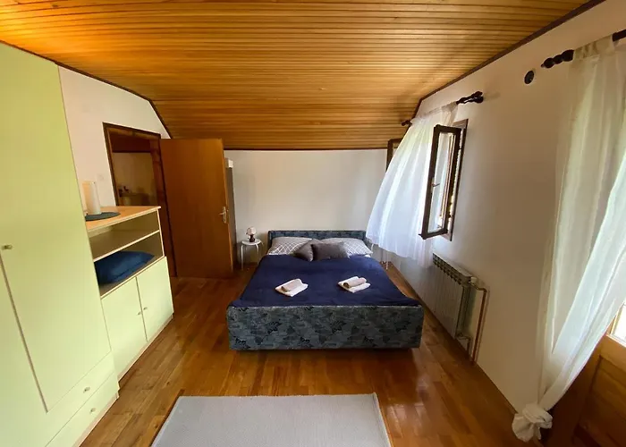 Alpstuga Sanmari_forest